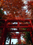 Inari03.jpg