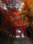 Inari_02.jpg
